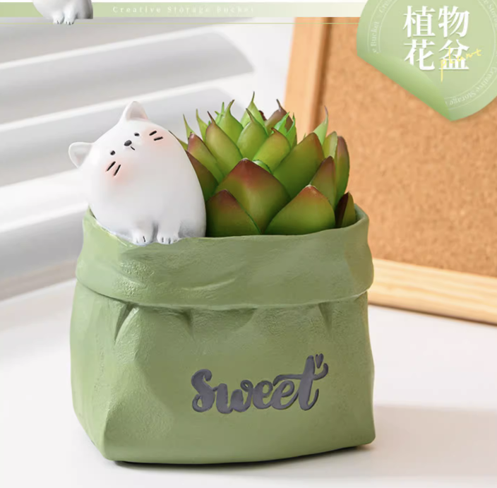 Holder/Organizer/Pot for Pen, Stationary, Makeup Brushes, Plants, Succulent